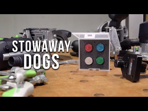 Stowaway Dogs